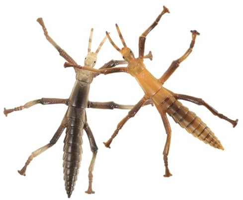 BESPORTBLE 2stücke Stickinsekten Modell Spielzeug Wissenschaftliche Lernspielzeuge Für Junge Mädchen Realistische Insektenfiguren Biologie-kognition Praktische Lehrmittel Für Naturforscher