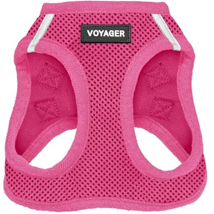Voyager Step-in Air - Pettorina per cani di taglia piccola e media taglia Best Pet Supplies per tutte le condizioni atmosferiche, taglia L, colore: fucsia