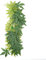 Zerodis Aquarium künstliche grüne Weichplastik Wasserpflanzen Terrarium Ornamente Dekor (50cm)