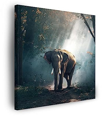 GP TONER Wandbilder Heimdekorationen Leinwandbild Leinwanddruck Tiere Elefant 50x50 cm Modern Kunstdruck Leinwandbilder für Ihr Zuhause oder Büro