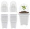 Lot de 12 pots de fleurs carrés en plastique blanc de 13,5 cm avec dôme et plateau d'humidité pour légumes, fleurs succulentes