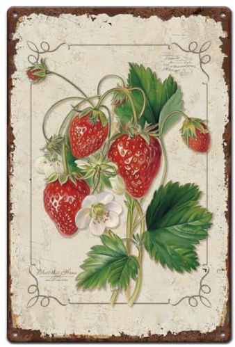 SUPERDANT Erdbeeren Blechschilder Erdbeere Blechschild Früchte Wanddekoration Metallschild Outdoor Gartendekoration Metallschilder Für Kaffeebar Schlafzimmer Mädchenzimmer