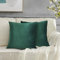 GIGIZAZA Grün Kissenbezüge, Kissenhülle 2 Pack Samt Zierkissenbezüge Throw Pillow Covers Cases Set Kissen Fall für Sofa Schlafzimmer und Auto, 18 * 18 Zoll 45 * 45 cm