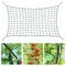 Malla Entutorar,Malla para Huerto 2 x 5 m,Malla para Plantas Trepadoras,Red para Enredaderas de Jardín,Red Enredadera Malla de Plantas para Verduras,Frutas e Flores