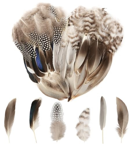 CAMETNG 330 Stück Federn zum Basteln, 9.5-16cm Groß Natürliche Perlhuhnfedern Deko, 6 Stile Weich Bastelfedern, Braun Feder für DIY Ohrring, Hochzeit, Traumfänger, Party-Masken, Ostern Deko