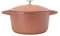 Westinghouse PERFORMANCE SERIES WCCC0095024OR Casserole avec revêtement 24 cm pour induction, tous types de plaques et four - Avec support de poignée - Rouge