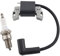 MCHNIC Zündspule mit Zündkerze für Briggs & Stratton 300E 450E 625EXi 500E 575EX 08P500 08P600 093J02 09P600 09P700 Rasenmäher ersetzt 798534 799582 593872