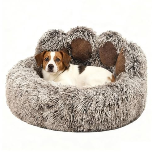 SHJOEE Lettino per Animali Domestici Letto Ortopedico per Gatti e Cani Cuccia Cane Interno Morbida e calda Adorabile cuccia per cani a forma di zampa d'orso di piccola e media (Caffè, 50cm)