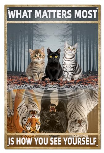 WADORN Cartello In Metallo Divertente con Gatto, Ciò Che Conta di Più È Come Ti Vedi, Cartello Vintage In Metallo, Cartello Motivazionale con Gatto Divertente, Poster Retrò, 20x30cm