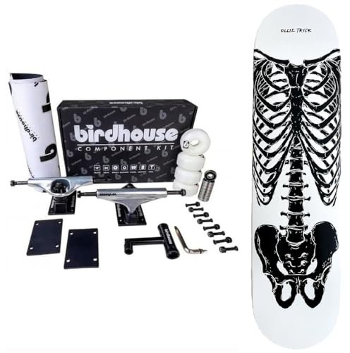 Komplettes Skelett-Skelett-Skelett Montieren Sie Ihr Skeleton Skateboard Kanadisches Ahorn-Deck und professionelles Birdhouse Set Up (Skeleton, 8.25)