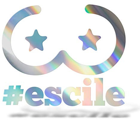 ERREINGE STICKER PRESPAZIATO OLOGRAFICO IRIDESCENTE 12 cm - Escile - Adesivo Decal Decalcomania Vinile Murale Laptop Auto Moto Casco Camper