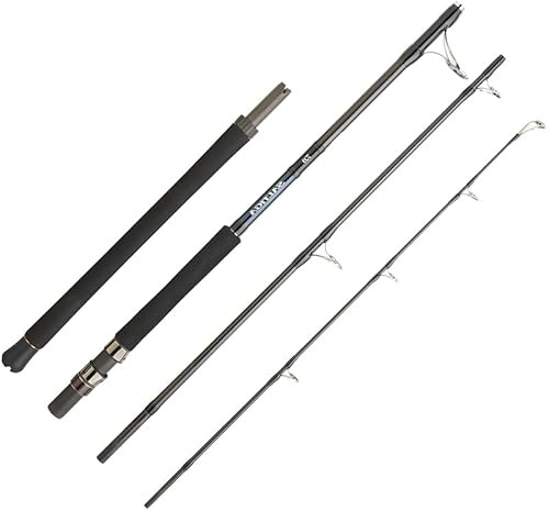 Daiwa Exotische Angelrute Saltiga A P 553 Hfs – 1,65 m – 328 g – P.100-300g – 65 cm – SGAP553HFSAF