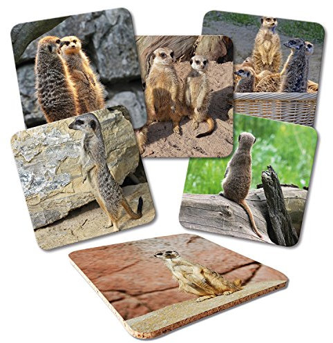 ADDIES Glas-Untersetzer 6-tlg.Set Bedruckt Motiv ERDMÄNNCHEN Komplett-Set in Hochwertiger Klarsicht-Geschenkbox und Korkrückseite, Tier-Motiv …
