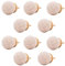 Knober Keramik-Möbelknöpfe klein marmoriert 31mm Landhausstil Shabby-Chic Schrankknopf Türgriff (07. 10 X Beige)