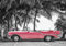 Forwall Fototapete Vlies Wanddeko Auto Oldtimer - Rot Strand Palmen Kuba Havanna Vliestapete Wand Tapete Moderne Wohnzimmer Schlafzimmer Wanddekoration 13337VEXL 208cm x 146cm