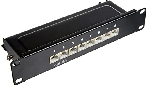 Delock Panneau de Brassage 10″ 8 Ports Cat.6A 1 HE Noir