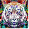Bilderwelten Fototapete Jugendzimmer Street Art Tiger 240 x 240 cm Vlies-Tapete XXL Smart Wandtapete Wanddekoration Wohnzimmer Schlafzimmer