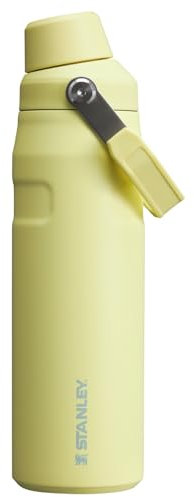 Stanley IceFlow Fast Flow Water Bottle 24 OZ | Angled Spout Lid | Lightweight & Leakproof for Travel & Gym | Insulated Stainless Steel | BPA-Free | Pomelo
