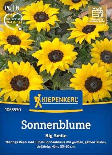 Kiepenkerl Sonnenblumensamen Big Smile 1065530, Sommerblumensaat | Große goldgelbe Sonnenblumen, Blumenwiese, einjährig