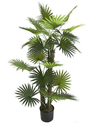 AMERIQUE, 5 Feet Unique Tropical Fan Palm Tree Artificial Silk Plant, UV Protection, Indoor and Outdoor Display, with Nursery Plastic Pot, Feel Real Technology, Emerald Green, 5'
