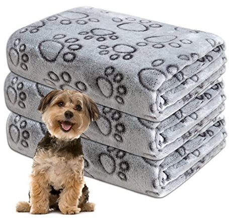 Gorgelly 1 Pack 3 Hundedecke, Weiche Haustierdecke Waschbar, Kuscheldecke Flauschig für Kleine Mittlere Hunde Katzen, Sofaschoner für Hunde, Hundedecke für Unterwegs, 60x50 cm