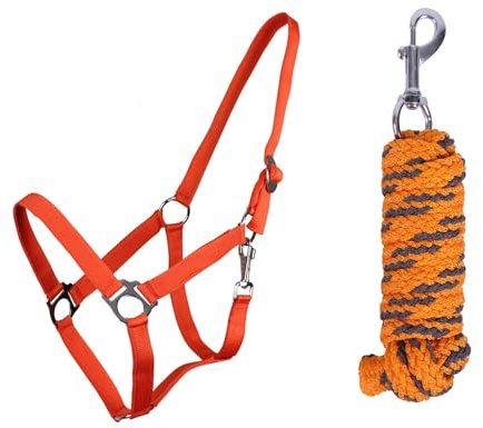 ARBO-INOX Halfter-Set Beginner II Halfter + Führstrick mit Karabinerhaken verstellbar (Mini Shetty, Orange)