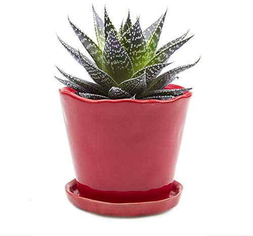Chive Pots de Fleurs en céramique « Tika » – Jolis Pots pour Fleurs et Plantes d'intérieur et d'extérieur – Grand (12,7 cm) – Rouge