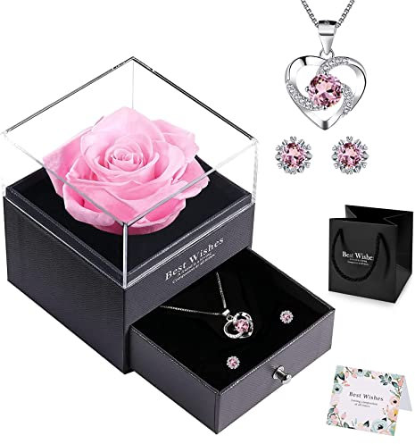 Rosa conservata con collana, eterna vera rosa con fiori, confezione regalo per donne, per San Valentino, festa della mamma, anniversario, compleanno per mamma, sorella, moglie da NEWUPZSI