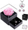 Rosa conservata con collana, eterna vera rosa con fiori, confezione regalo per donne, per San Valentino, festa della mamma, anniversario, compleanno per mamma, sorella, moglie da NEWUPZSI