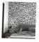 SAIMEYI PVC-Tapete 0,53 M X 10 M = 5,3 M²/Rolle. Weiß Gelb Schwarz Wallpaper Für Cafés, Bekleidungsgeschäften，Hotel，Schlafzimmer ， Bar. 3D-Tapete Mit Leopardenmuster (Schwarz und Weiß-031)