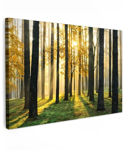 MuchoWow© Leinwand Bilder Groß 120x80 cm XXL Wanddeko Wohnzimmer Aesthetic Room Decor Deko Zimmer Wandbilder Modern Fotogeschenke Bild Wald - Sonne - Bäume - Gras - Landschaft - Natur