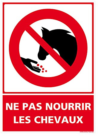 Signalétique.biz France - Panneau Ne Pas Nourrir Les Chevaux - Interdiction Nourrir les Animaux - Plastique rigide 1,5 mm - dimensions : 210x300 mm