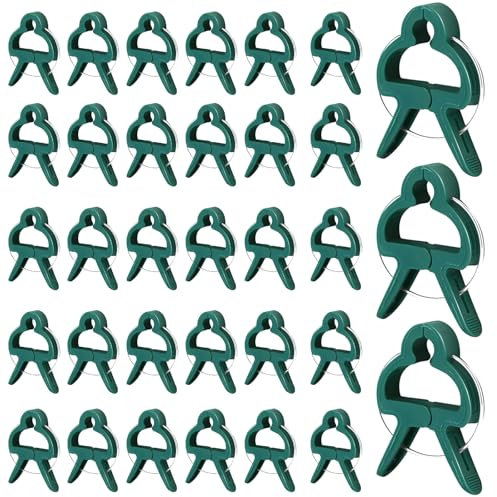 Ajuanbazha 100 Pezzi Clip per Piante, Supporti Riutilizzabili per Piante Rampicanti, Fiori e Verdure (50 Grandi e 50 Piccoli) per Giardino, Serra e Aiuole