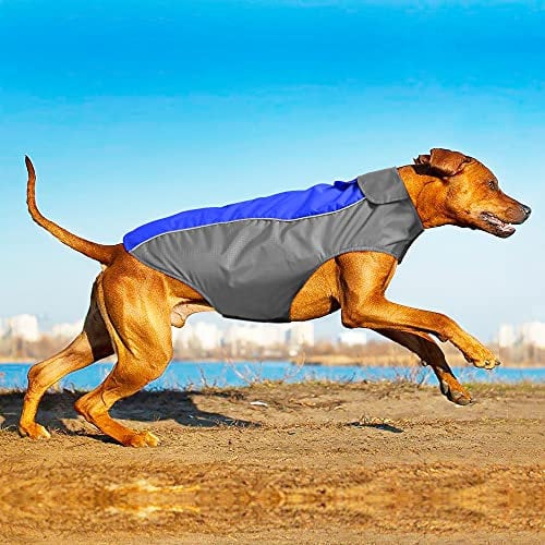 YFbrite Waterproof Dog Coat - Lightweight Pet Raincoat | Adjustable Warm Jacket | Dog Cloth for All Breeds Sizes (Blue, Medium)