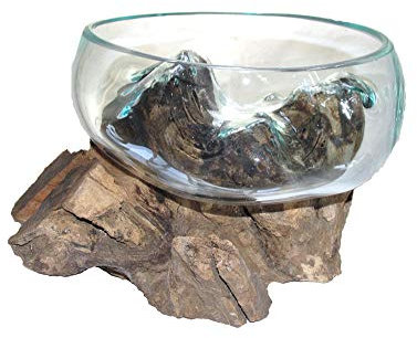 Deko Glasschale Obstschale Blumenschale auf Wurzelholz Vase Schale mit Wurzel-Holz Dekovase Dekoschale charakteristische Dekoration (15 cm F)