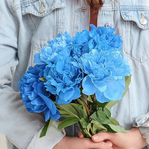 100 pcs pfingstrosen pflanzen winterhart samen - frühlingsblumen zimmerpflanzen wenig lichtbedarf pfingstrose,Paeonia suffruticosa, balkon deko blumendeko deko pflanze bäume garten