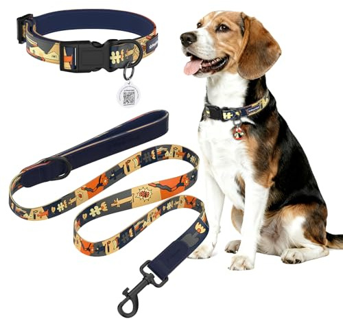 PawView Nachthimmels Stil Personalisierte Hundeleine und Halsband Set Verstellbar, mit Hundemarke qr Code, Passend für Welpen und kleine Hunde XS (Halsumfang: 22–30 cm, Leinenlänge: 1.5 m) DE