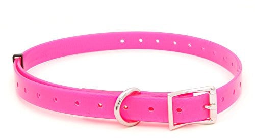 Arcea Polytec Collier pour Chien Fuchsia 16 mm