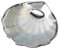 Seashell Sterling de baptême en argent bilaminate 925m argent couleur nacrée retour