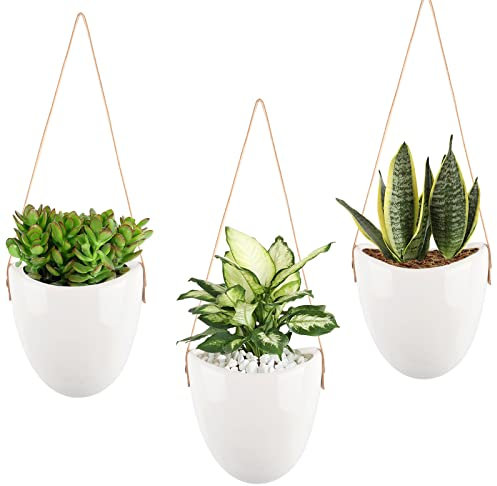 DaizySight Lot de 3 pots de fleurs muraux à suspendre pour plantes succulentes, petit support de plante en céramique pour la maison (plantes artificielles non incluses), blanc