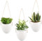 DaizySight Lot de 3 pots de fleurs muraux à suspendre pour plantes succulentes, petit support de plante en céramique pour la maison (plantes artificielles non incluses), blanc