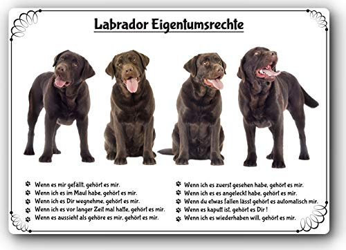 Blechschild / Warnschild / Türschild - Aluminium - 20x30cm Eigentumsrechte Motiv: Labrador (02)