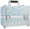 Frenessa 6 Trays Makeup Box Cosmetics Case Jewelry Organiser Vanity Make Up Storage Box Beauty Train Case Lockable with Keys, Silver