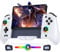 Controller für Nintendo Switch, Einteiliger Handheld Switch Controller mit RGB Lichteffekt, Hall Effekt Sticks, Ergonomischer Bluetooth-Controller mit Programmier und Weckfunktion