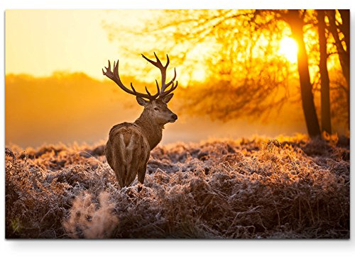 Eau Zone Wandbild auf Leinwand 120x80cm Hirsch im Morgenlicht