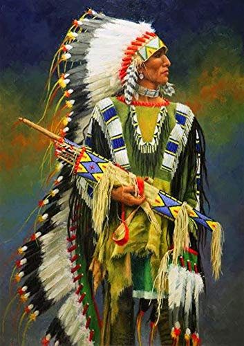 Reofrey Diamond Painting Zubehör DIY Diamantmalerei Farbige Indianer Bohren Voll Stickerei Strass Diamant Malerei Set Wanddekoration 30x40 cm