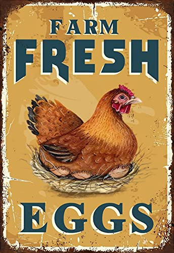 Farm Fresh Eggs - Targa in metallo vintage con gallina, gallina, gallo, decorazione da parete, per casa, cucina, casa, cortile, 15 x 20 cm
