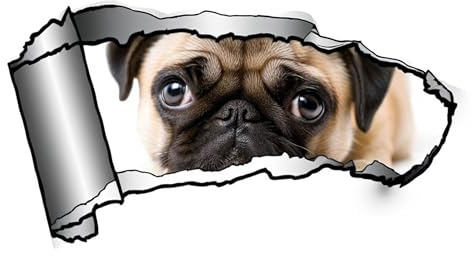 Mops Aufkleber mit 3D Zerrissen-Effekt, Reflektierend Wasserdicht, PVC Autoaufkleber für Auto, Laptop, Kühlschrank, Möbel ((15cm/5.91inch))