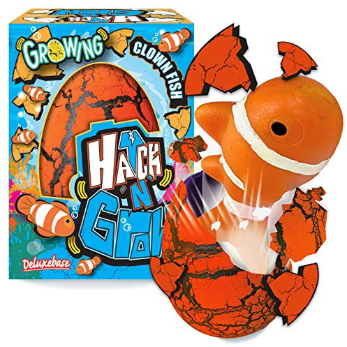 Hatch n Grow - Clownfisch von Deluxebase. 11cm großes, wachsendes und schlüpfendes Ei mit Fischspielzeug. Legen Sie es ins Wasser um zu sehen wie Sich das magische Spielzeug verwandelt