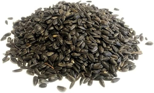 Sac de recharge de 3 litres de graines de tournesol noir de qualité supérieure pour oiseaux sauvages (poids 1,5 kg/env. 3 l) 3 l